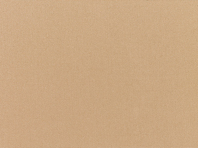 Sunbrella Camel furniture fabric. Item number 5468-0000